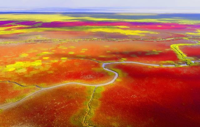 欢迎永州兄弟！盐城景区免费游