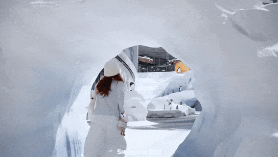 “这可能是深圳最热闹的周末，攻略准备好了”