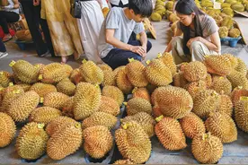 角逐中国市场，泰马越掀“榴莲大战”图片
