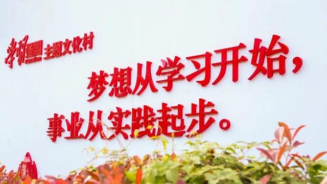略阳事 | 沉浸式浏览！略阳“学习强国”主题文化村究竟藏着哪些宝藏？