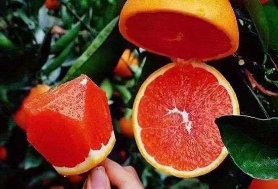 永川“留娃”去处上新→