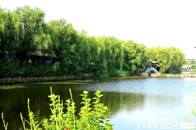 秀山东丨泰安:翠绿摇曳，波光交映
