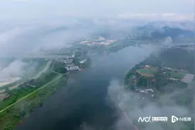 “龙舟水”背后的广式浪漫，来自这些神奇的“人造生命线”图片