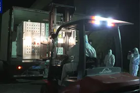 顺利回家！大熊猫“美香”一家正在适应新环境新生活图片