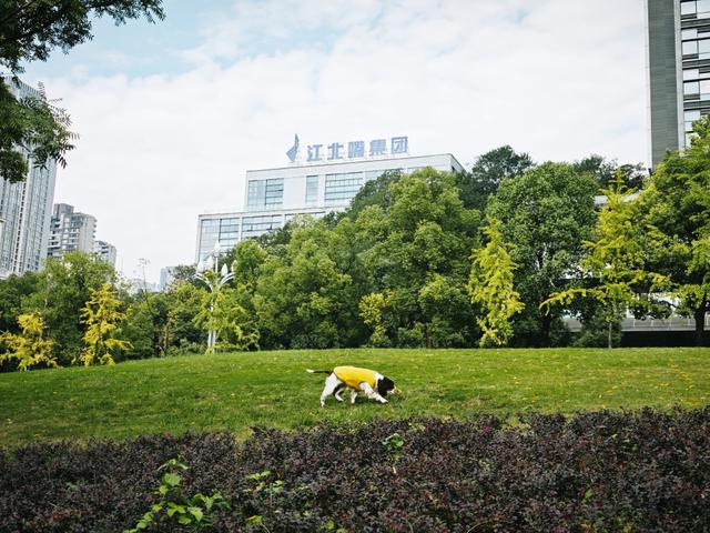 解锁藏在江北嘴CBD的冬日浪漫