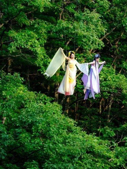 光隙长廊、云雾森林... ...洛阳这些景区上新玩法！