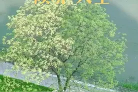 于凌晨逝世！杭州籍歌手摸着他的身体泪崩：我想抱抱你图片