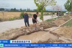 玉米地浇上黄河水！山西引黄灌溉保夏种图片