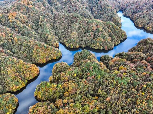 绥阳冬日指南｜收下这份“暖心四件套”，邂逅最惬意的冬日时光