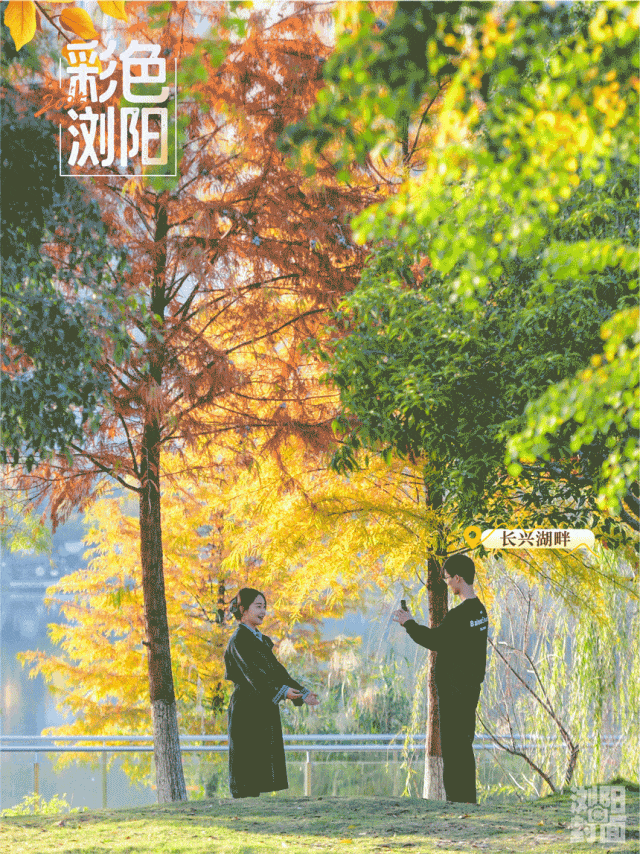 浏阳粉色公交站出圈，太浪漫了！