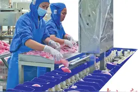 挺进深蓝筑起“海上粮仓”图片