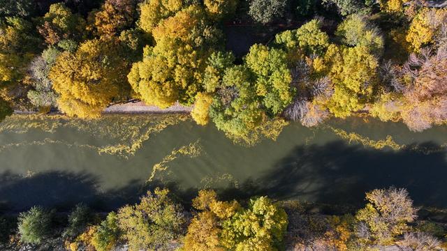 秋声渐杳 斑斓成诗