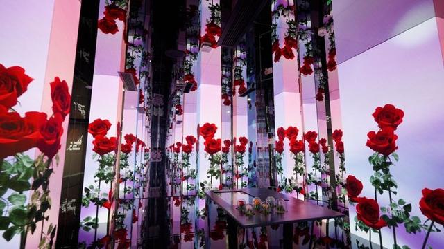 中国斗南花卉展览馆试运营 科技赋能绘就“亚洲花都”新地标