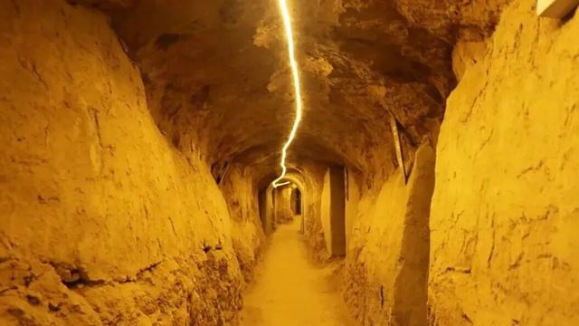 凭《731》电影票根，洛阳这12家景区免门票入园！