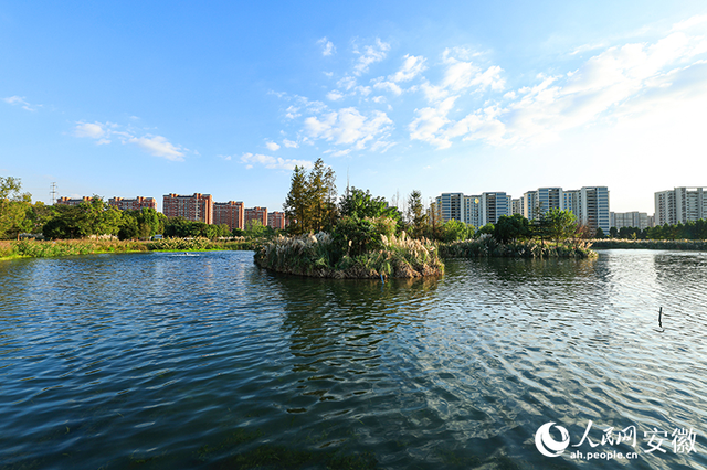 芜湖朱家桥尾水净化生态公园：有“颜”更有“料”