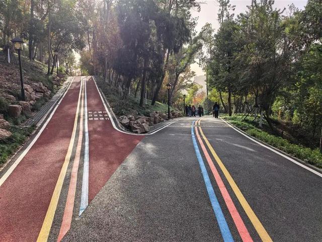 武汉东湖绿道又“上新”！7.5公里山体游步道建成