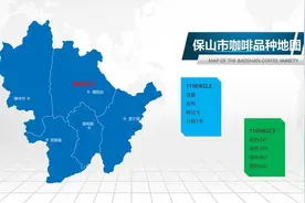 优选12个优良品种 云南咖啡品种地图“出炉”图片