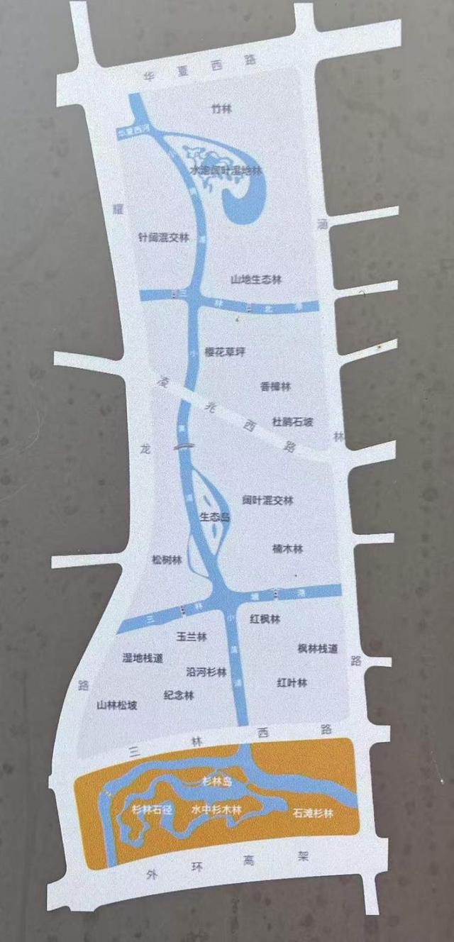 三林水森林未开先火，网络疯转“潜入攻略”！记者探访：确有不少游客；建设方：今年内完工，请静待开放