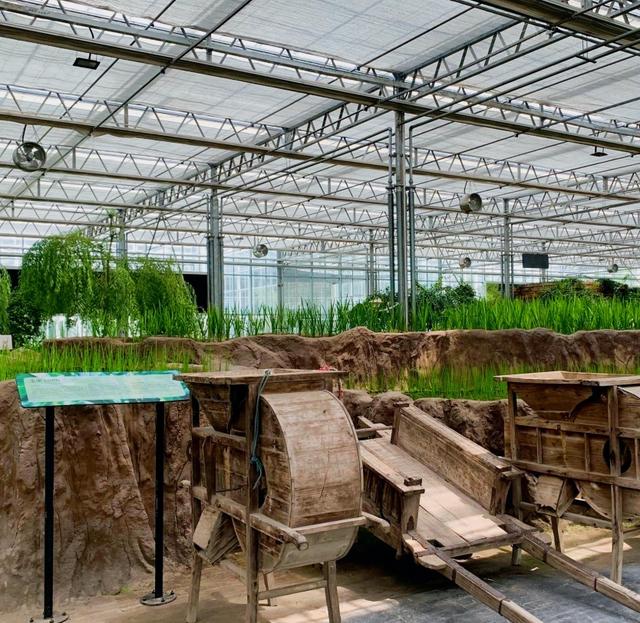 全省游客+全国持证厨师，宿迁这些景区免费游啦！