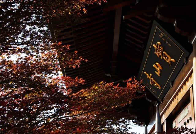 宝山隐藏打卡清单！“旅”选上海，“超”级精彩！这里出片率100%！