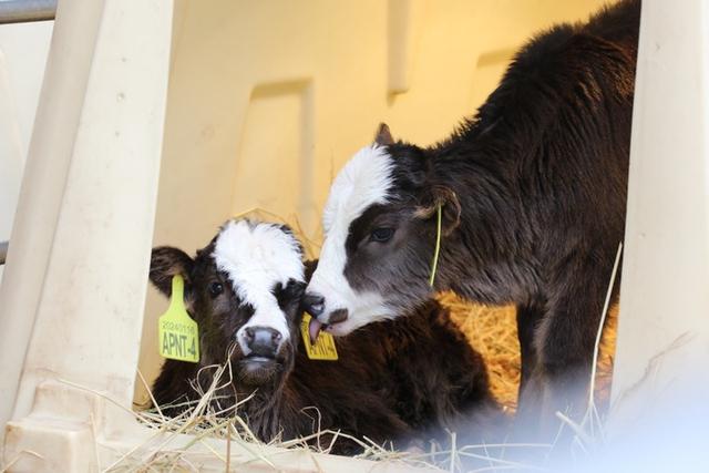 习近平总书记关切事｜攥紧中国种子