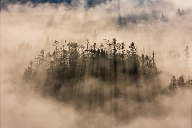 富源：雾起穹苍 林峦熹微