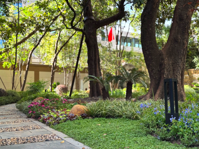 全市首个！静安这个商圈旁，竟藏着居民区里的“专业古树园”