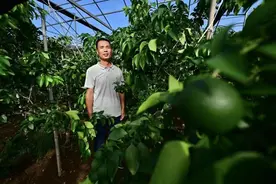 老书记问：你能不能留下来？他，一呆18年图片