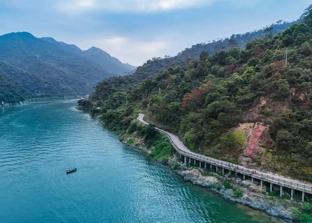 来清远的理由，不止这一个