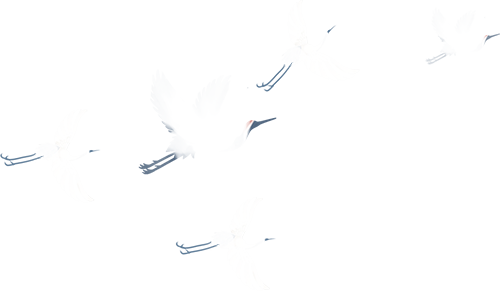 一场-30℃的狂欢，正在呼伦贝尔筹备