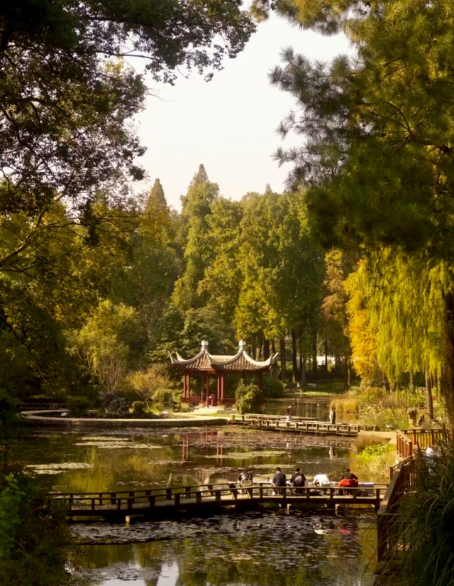 大降温后的秋日大片，来武汉植物园取景！这份小众胶片感机位请收好