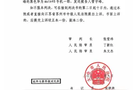 江苏一飞行营地坠机致死案续：公司实控人冒充军人，被判刑五年半图片