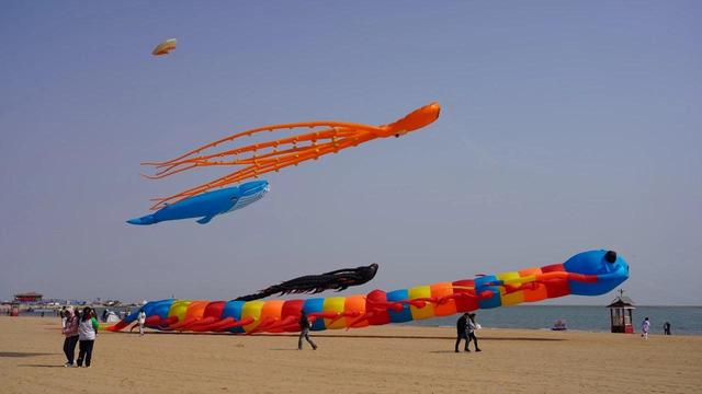 喜讯！滨城新增市级旅游好去处 你最想去哪个？