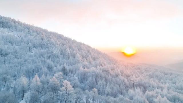 呼伦贝尔冬季，把 “孤独” 酿成浪漫