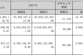 TCL中环拟使用不超100亿元资金买理财 2023年营收净利齐降低多位董监高涨薪图片