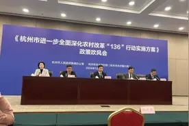 “136”行动方案来了！杭州力争2029年完成图片