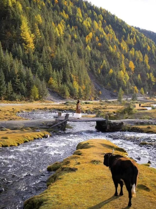 美上央视的秋景，这十条路线请你选！