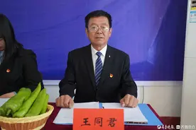 每亩增收1万元，莘县十八里铺镇前王铺村朝天椒丰收在望图片