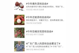 实现“荔枝自由”？我提名四川这里图片