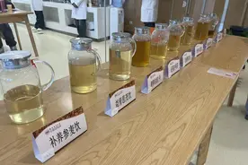 潮声丨体重管理年，中医减肥灵不灵？图片