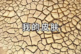 干，干，干！冬天加湿的正确做法图片