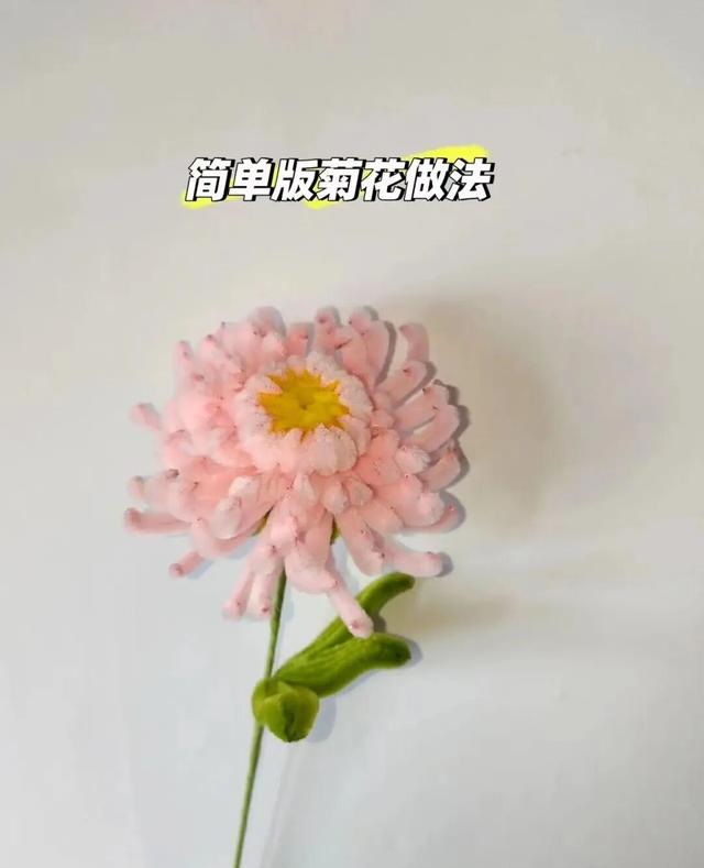 逛秋花集一定要看这个！攻略奉上