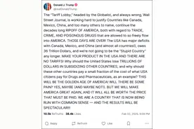 特朗普称：关税也许会让美国人“痛苦”，但“一切代价都会值得”图片