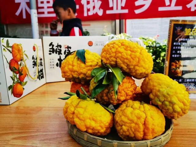 金秋邂逅凉山：9-10月文旅活动精彩预告