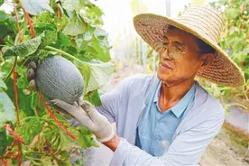 一季度营业收入119．74亿元  海垦集团拼出“开门红”图片