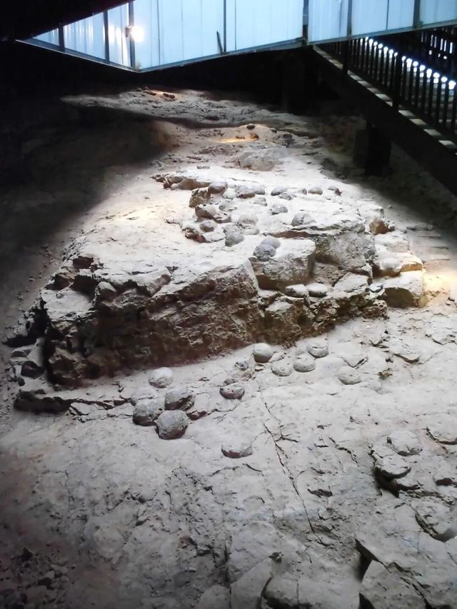 从化石标本到文旅名片，地质遗产活化的“郧阳答案”