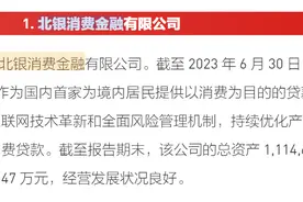 北银消费金融上半年净利润5864.47万元图片