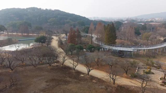 无锡梅园重要通知！