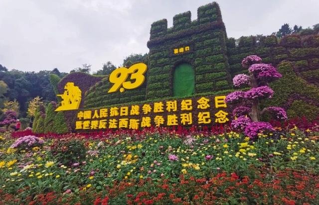 青睐绵阳 ‖ 一城秋色，菊香满园，游仙区富乐山十万香阵花正浓！