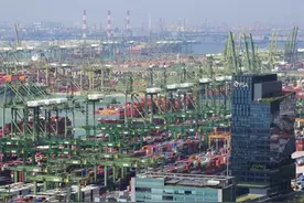 新加坡港“大堵船”，物流平台称运费仍在上涨！红海危机持续图片